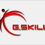 Logo_G.Skill