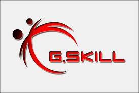 Logo_G.Skill