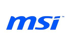 Logo_MSI_1