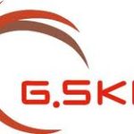 Logo_G.Skill_ok