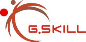 Logo_G.Skill_ok