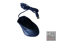 mouse_1