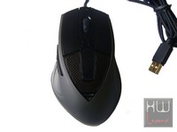 mouse_2