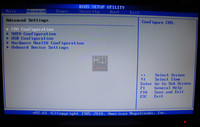 bios_advanced