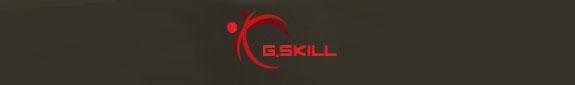 gskill_logo1