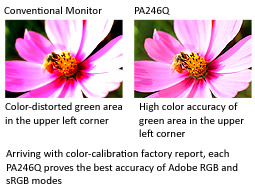 High_Color_Accuracy_pic