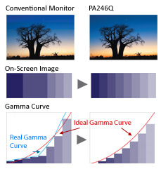 Smooth_color_reproduction_pic