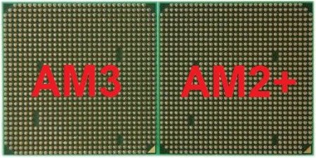 left_AM3_right_AM2