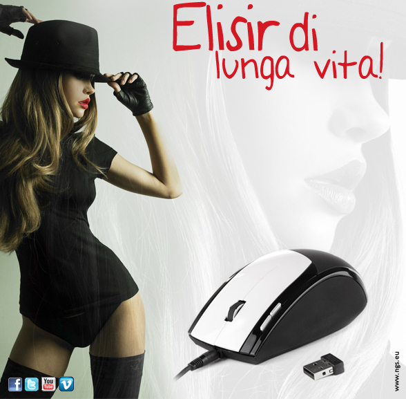 evoexpertv3_it