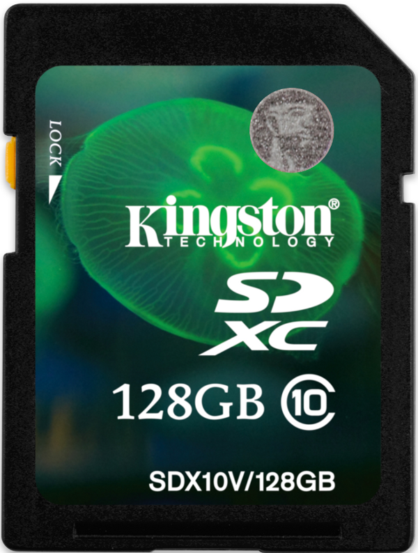 SDXC_Kingston1