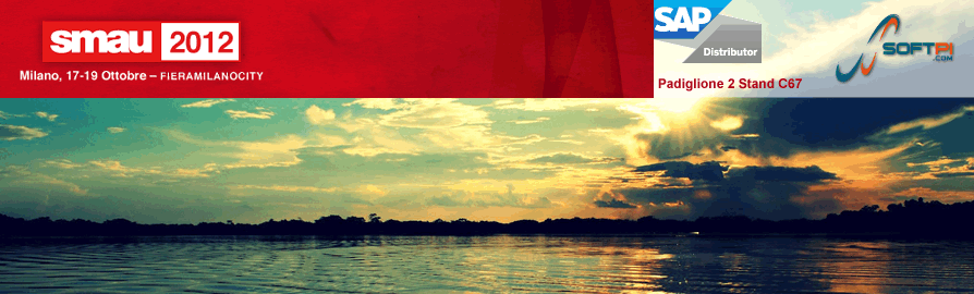 banner_smau2012_2