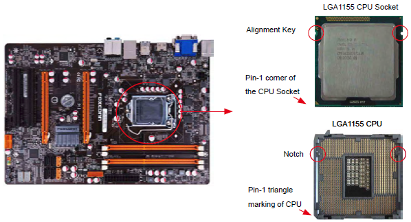 CPU