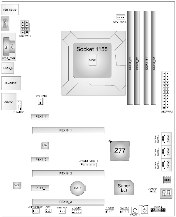 Layout_Biostar