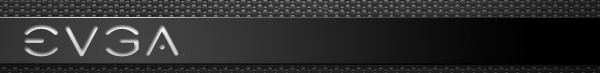 Logo_EVGA