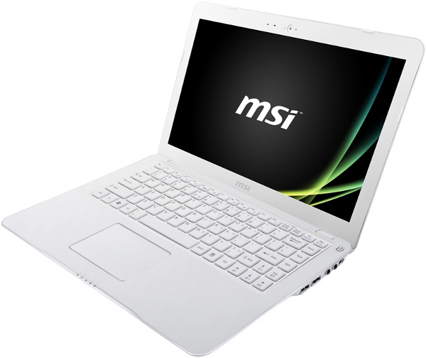 MSI_S30