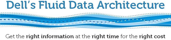 Dell_Fluid_Data_-_1
