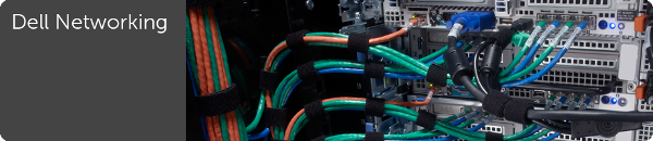 Dell_Networking