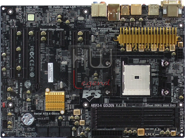ECSa_A85F2-A_-_Golden