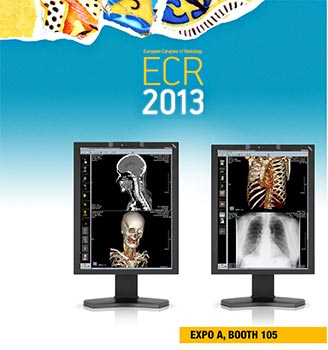 NEC_-_ECR_2013
