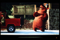 asustor_as-602t_boxee_23_movie_3