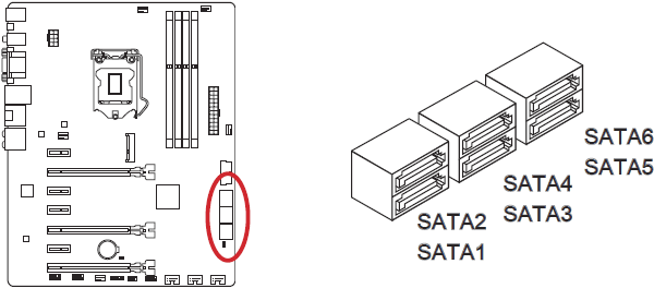 Sata