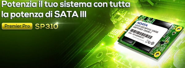 ADATA_Premier_Pro_SP310