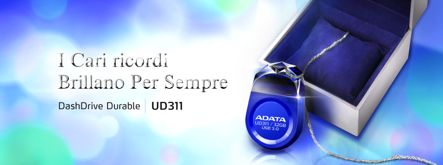 ADATA_DashDrive_Durable_UD311