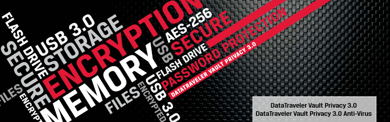 DataTraveler_Vault_Privacy_3.0