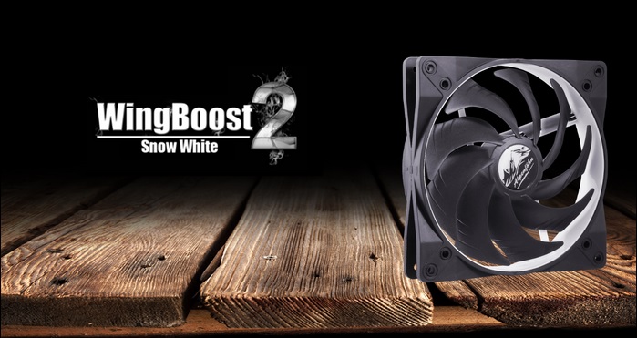 WingBoost_2