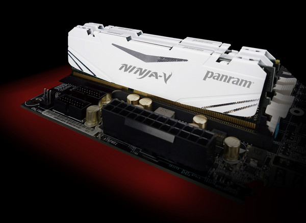 Panram_DDR4_Ninja-V_Photo--01