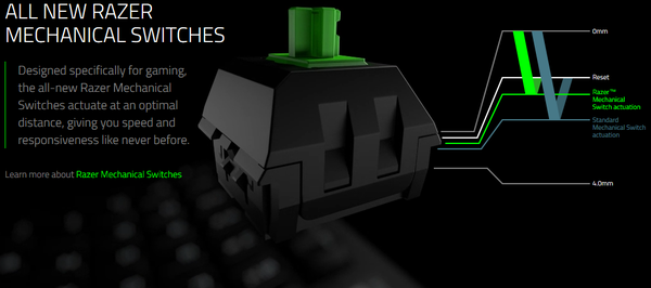 Razer_BlackWidow_Tournament_Edition_Chroma_-_5