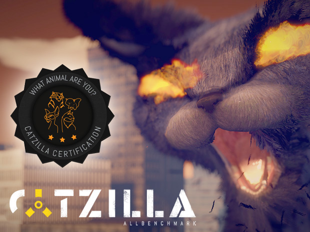 Benchmark_Catzilla