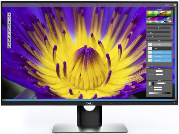 Dell_Dell_UltraSharp_UP3017Q