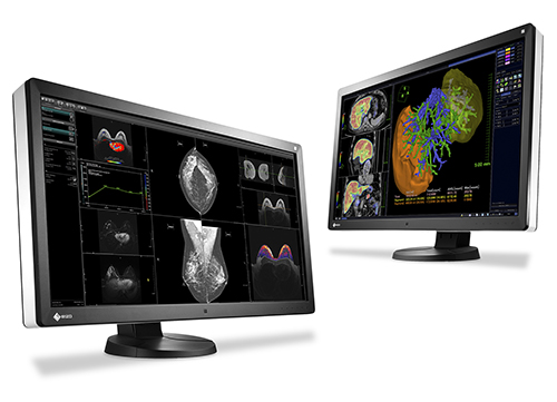 Eizo_ECR_2016_a_Vienna_-_2