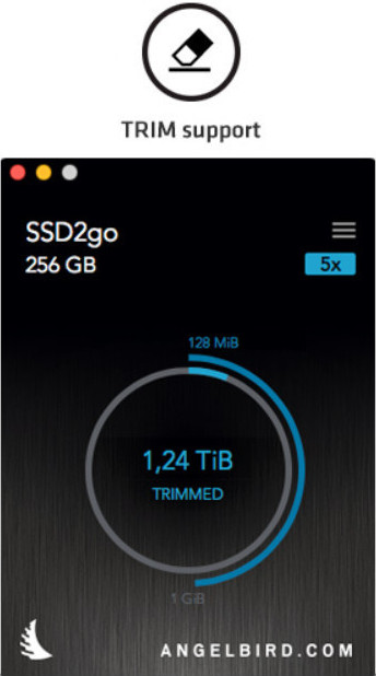 024a-angelbird-ssd2go-pkt-256gb-immagine-specifiche
