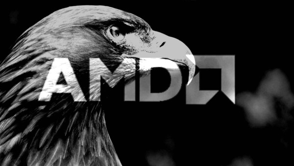 AMD_APU_Gray_Hawk_7nm