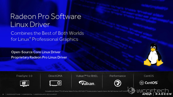 AMD_Radeon_Software_Crimson_ReLive_e_ReLive_Pro_-_11