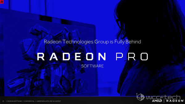 AMD_Radeon_Software_Crimson_ReLive_e_ReLive_Pro_-_5a