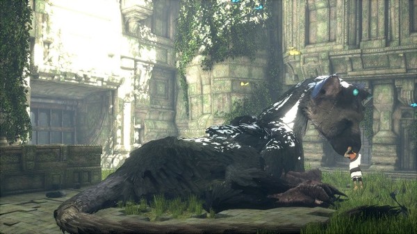 The_Last_Guardian_-_3