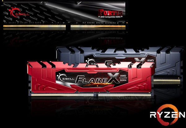 G.SKILL_Flare_X_e_FORTIS