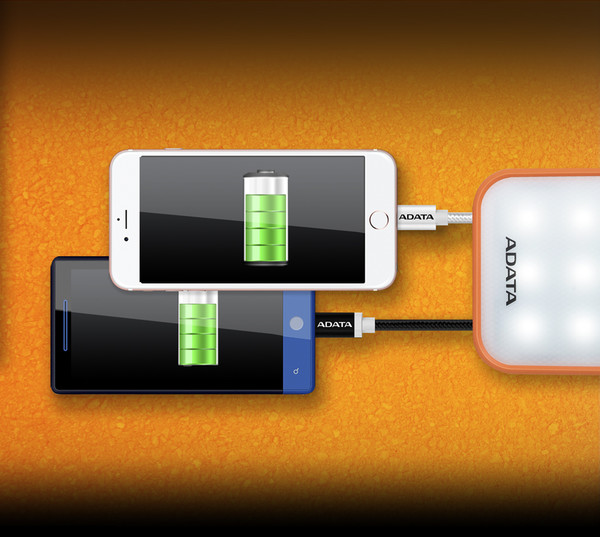 ADATA_Power_Bank_D8000L_-_6
