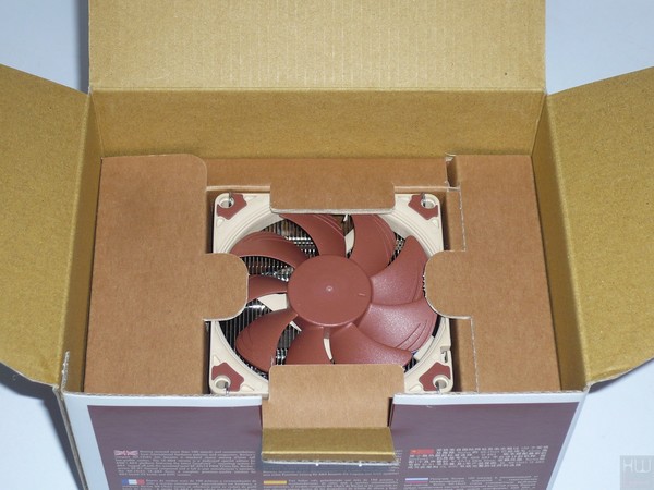 010-noctua-am4-foto-confezione-L9x65-interno2