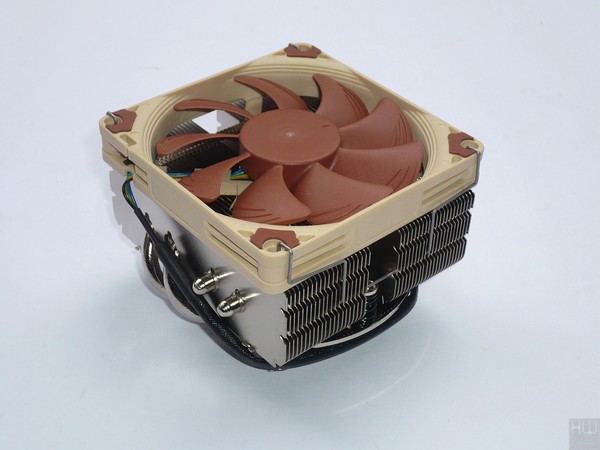 028-noctua-am4-L9x65-foto-dissipatore-varie