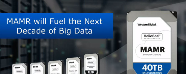Western_Digital_hard_disk_da_40TB
