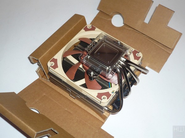 060-noctua-am4-L12s-foto-confezione-interno-scatola-dissipatore